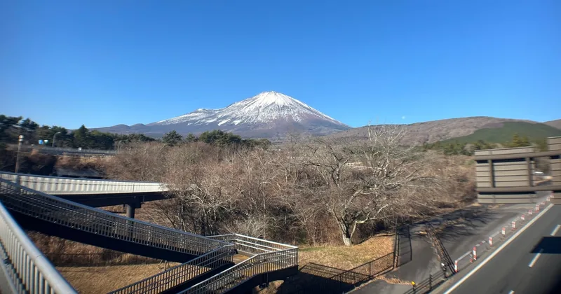 富士山麓の森ハイキング（写真付き）